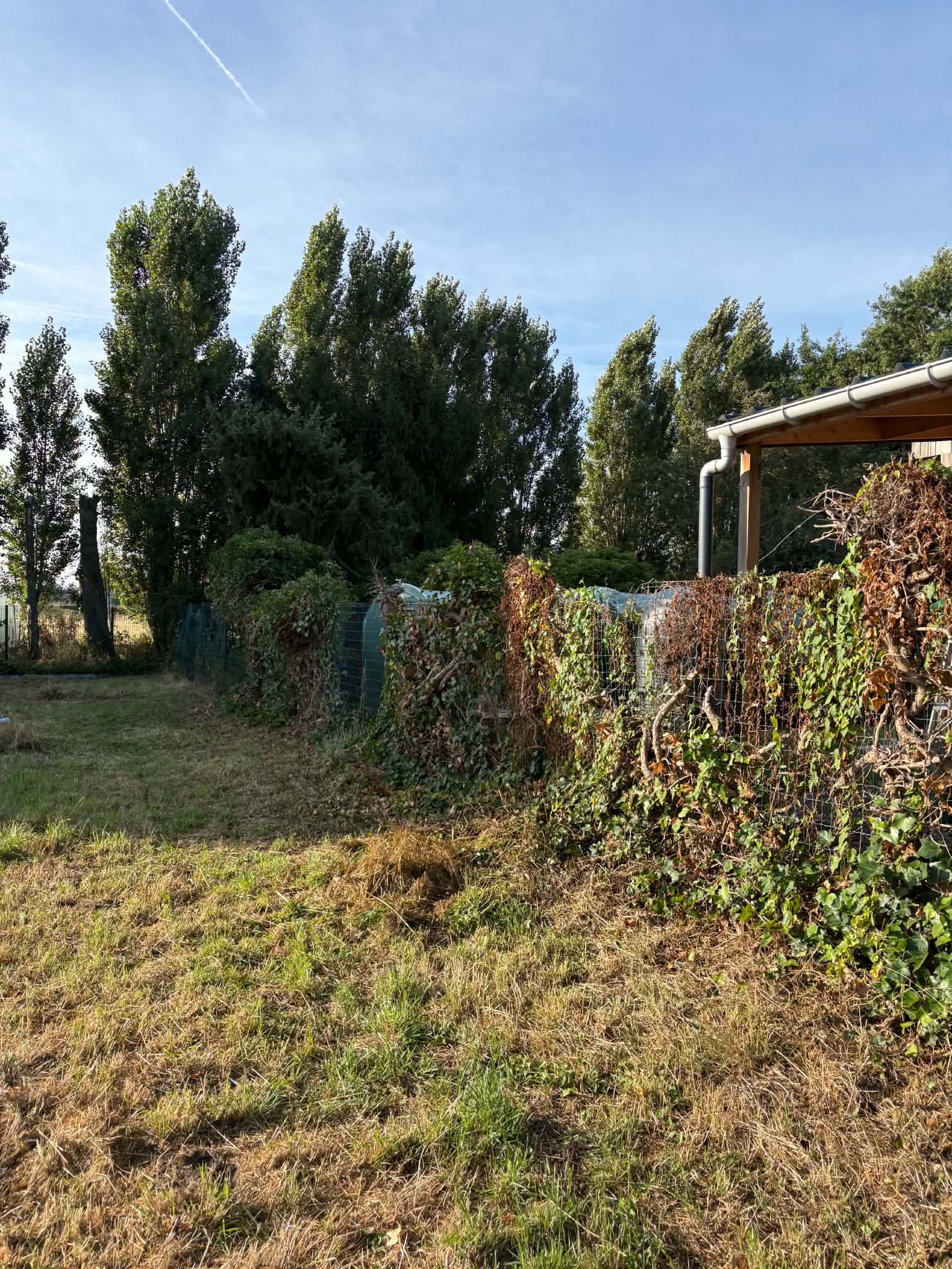 3d paneel groen 180cm geplaatst door Watty Afsluitingen in Deerlijk
